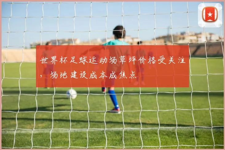 世界杯足球运动场草坪价格受关注,场地建设成本成焦点