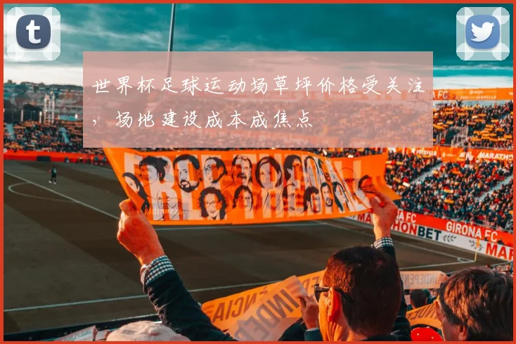 世界杯足球运动场草坪价格受关注,场地建设成本成焦点